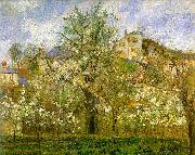 Camille Pissaro Kitchen Garden with Trees in Flower, Pontoise china oil painting reproduction